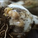 주아농장 이미지