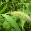 장수공원 이미지