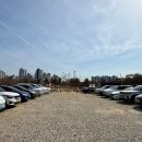 중앙신경외과의원 | 평택파스타 세교동맛집 코지하우스 세교점, 아이동반 외식 추천