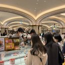서울파크 | 신세계강남식당 스위트파크 디저트 맛집 카페디아즈 팝업 위치 주차