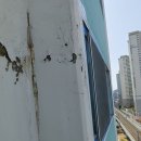 수안조성하이츠아파트경로당 | 부산 동래구 수안동 조성하이트 아파트 실리콘코킹~ [샷시닥터]