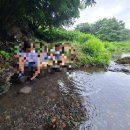 솜반내(솜반천) 이미지