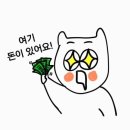 <b>네이버</b>페이 86억