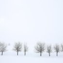 홋카이도 이미지