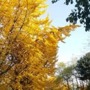 올레길 산림형 4코스 이미지