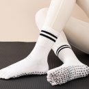 더디에이치투 이미지