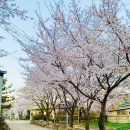 세정어린이집 이미지