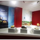 세계화석광물박물관 이미지