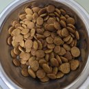 청녹섬유질가공사료 | 나투라다이어트캣 출시 &amp; 최대 50% 할인! 고양이 방광염/다이어트에 좋은 유리너리 사료 추천