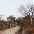 도랑골손맛
