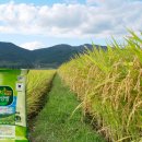 보성군농협쌀조합공동사업법인 이미지