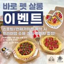 산척동 라온유치원 부근 | 경기도 처인구 바로펫살롱, 후기, 영업시간, 리뷰