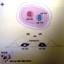 황남대총특별전-1 이미지