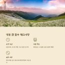 산나물 도시락 코스 이미지