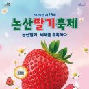 화천어린이공원4 문화관광축제