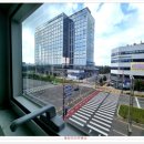 공원메디칼약국 이미지