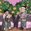 《한국의 지명설화》51편 신통한 배나무 덕분에 집안이 흥했던 대구 배나무골 이미지
