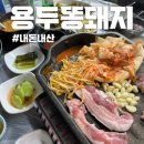 용두똥돼지 | [용두동 맛집] 용두똥돼지: 찐동네주민의 내돈내산 극과극 고기집 솔직후기