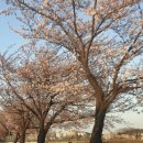 남대천강릉교밑 이미지