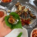 이지비야 이미지