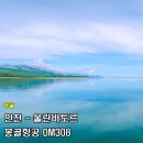 몽골 항공권 미아트항공 몽골항공 OM308 인천 울란바토르 기내식 후기