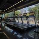 디엘 짐 이미지