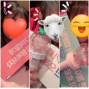 덕질호빵_2024 황민현 ALL 팬미팅 &lt;도원결의&gt;