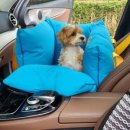 스윗테일 이미지