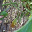 한결어린이집 이미지