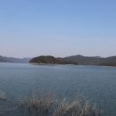 명품 벚꽃 길 이미지