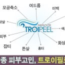 올리브피부샵 이미지
