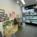 아이펫샵 이미지