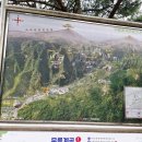 삼화사 | 강원도 동해 여행 물놀이 추천장소 무릉계곡, 주차, 입장료 힐링 산책 삼화사 방문후기