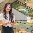 커피박