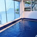 호호용담 이미지