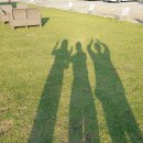 풀향기 궁중칼국수 손만두전골 이미지