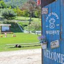 풍성한목장 네이버블로그