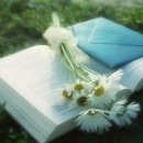 더 느리게 이미지