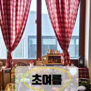 내입클로버 | 부평 평리단길 카페 초여름 지브리 감성 가득한 디저트 맛집 후기