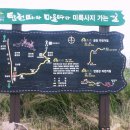 화심천 Daum카페