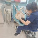 송하유승훈소아치과의원 | 천안 소아치과 유승훈 소아치과 방문기