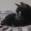 연성 동물병원 이미지