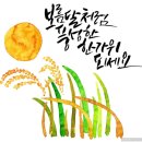 소 담 이미지