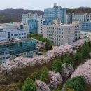 신창면 순천향로 이미지