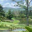 부경이비인후과의원 | 성대 질환/ 성대 폴립 / 성대 부종 병원 탐방기 ✔️ 3곳 후기