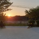 초록별여행사