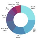 샐러드캐츠