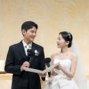 미무아르 이미지