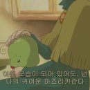 허브여행사주 이미지