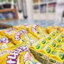 오늘유치원 이미지